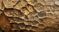 The intricate patterns formed on the surface of a mud pot resembling a piece of abstract art