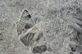 Intricate patterns and textures of ice on the surface of frozen water