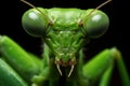 Intricate Praying mantis macro. Generate Ai Royalty Free Stock Photo