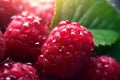 Intricate Raspberry closeup cinematic. Generate Ai