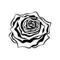 Intricate rose flower tribal ethnic tattoo detailed outline silhouette vector illustration design.