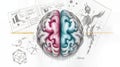 Detailed Sketch of Human Brain Divided by Color, Surrounded by Notes and Symbolic Illustrations - Conceptual Art Royalty Free Stock Photo