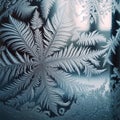 Intricate Snowflake Frost Pattern: Winter\'s Delicate Beauty