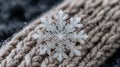 Intricate snowflake on soft fur