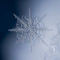 Intricate snowflake with a symmetrical hexagonal design, exhibiting detailed patterns and clear Royalty Free Stock Photo