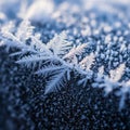 Emphasizes the natural beauty and complexity of the snowflakes Royalty Free Stock Photo