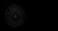 Intricate spider web against a dark background