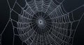 Intricate Spider Web Covered in Morning Dew Drops Against Dark Background Royalty Free Stock Photo