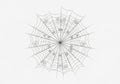 Intricate spider web design featuring concentric circles and Royalty Free Stock Photo