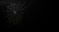 Intricate spider web with dew drops on dark background