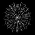 Intricate spider web found in nature. A beautiful white web against black background. Nature-inspired graphic for