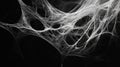 Intricate Spider Web Pattern on Black Background