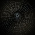 An intricate spider web is set against a dark black background. The web features a Royalty Free Stock Photo