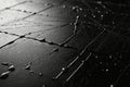 Intricate spider web texture, fine symmetrical patterns with morning dew droplets sparkling