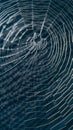 Intricate spider webs overlapping, dark textured background, concentric circles, and depth