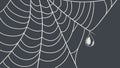 Intricate Spiderweb with Dewdrop Vector Illustration, vector design Generative AI Royalty Free Stock Photo