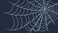 Intricate Spiderweb Pattern, Delicate Nature Design Art, vector design Generative AI Royalty Free Stock Photo