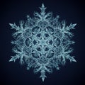 Intricate, symmetrical fractal pattern resembling a snowflake. Features sharp, ice-like Royalty Free Stock Photo