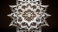 Intricate Symmetrical Mandala: Delicate Paper Cutting Artistry