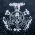 Snowflakes, emphasizing the variability in their formation due Royalty Free Stock Photo