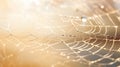 intricate texture network