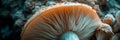 the intricate textures and organic shapes of a mushroom cap in macro shots. Generative AI