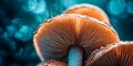 the intricate textures and organic shapes of a mushroom cap in macro shots. Generative AI