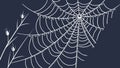 Intricate Spider Web Pattern, Nature\'s Delicate Engineering Vector Art, vector design Generative AI Royalty Free Stock Photo