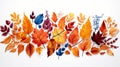 A creative composition featuring colorful autumn leaves