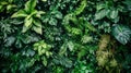 An intricate view of a green wall adorned with lush plants filtering air within a factory setting emphasizing the use of