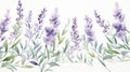 Intricate Watercolor Lavender Sprigs in Soft Purple and Green Hues AI Generated