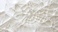 Intricate web-like illustration featuring a network of delicate lines on a soft, light background. Generative AI Royalty Free Stock Photo