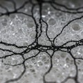 Intricate web-like patterns of black lines extend over a background of translucent, bu Royalty Free Stock Photo