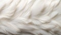 Intricate white feather texture background showcasing detailed digital art of large bird feathers