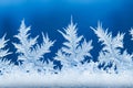 Intricate Winter Window Art Displaying Elegant Ice Crystals and Frosty Designs on Cold Glass Surface Royalty Free Stock Photo