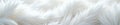 Intricate, wispy white fur backdrop High resolution image displaying fine fibers , white background, elegant backdrop