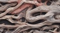 the intricate wood grain patterns and textures found in a piece of weathered driftwood. Royalty Free Stock Photo
