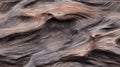 the intricate wood grain patterns and textures found in a piece of weathered driftwood SEAMLESS PATTERN. SEAMLESS Royalty Free Stock Photo