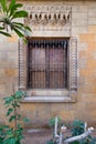 Intricately designed rustic wrought iron window grill adorns a weathered brick wall, adding a touch of old world charm