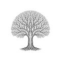 Black and white vector style illustration of a tylized tree Royalty Free Stock Photo