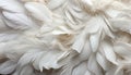 Intricately detailed digital art white feathers texture background with large bird feathers