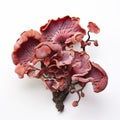 Intricately Sculpted Pink Mushroom Bunch Inspired By Ancient Chinese Art