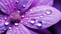 intricte purple water drops A macro shot