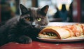 Intrigued feline poised to taste a hot dog. Created with AI