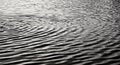 Abstract Monochrome Ripple Pattern on Water Surface Creating Dynamic Texture Royalty Free Stock Photo