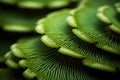 Intriguing Green pattern mushrooms. Generate Ai