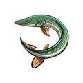 Intriguing Sea Lamprey Depiction in Realistic Environment Royalty Free Stock Photo