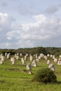 Intriguing standing stones at Carnac in Brittany, north-western France Royalty Free Stock Photo