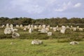 Intriguing standing stones at Carnac in Brittany, north-western France