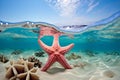 Intriguing Starfish sea. Generate Ai